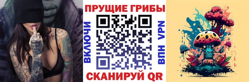 Псилоцибиновые грибы мицелий  Купить закладки  Мариинский Посад 