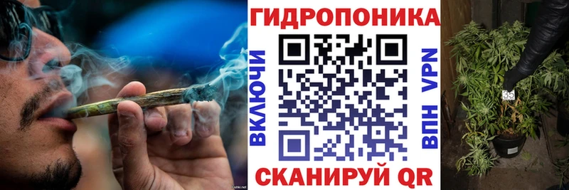 Бошки Шишки планчик  Купить закладки  Мариинский Посад 